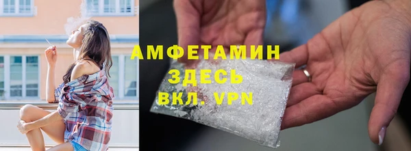 метадон Богданович