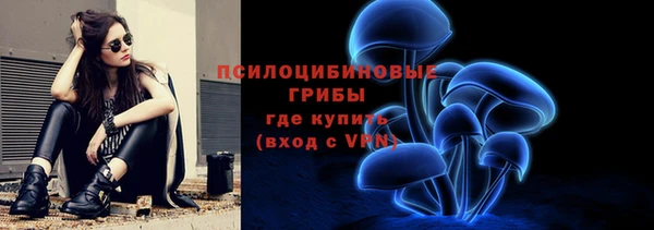 дживик Грязовец