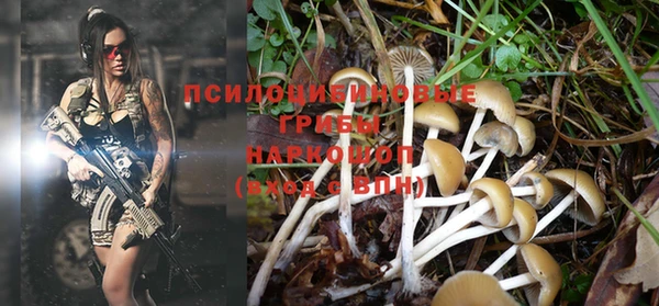 гашиш Верея