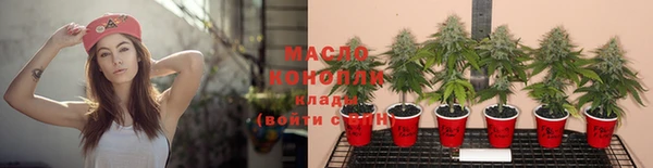 крисы Бугульма