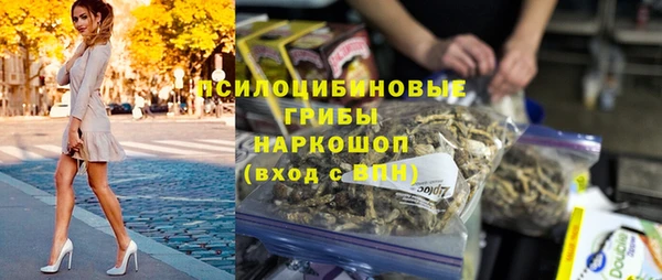 СК Бородино