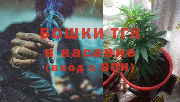 соль ск Богородск