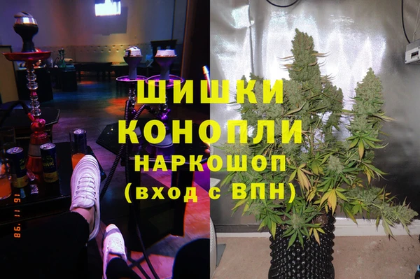 крисы Бугульма
