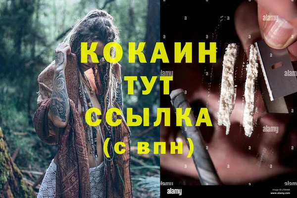 метадон Богданович