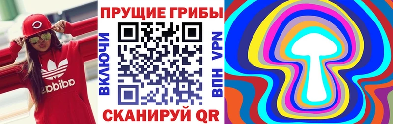 Псилоцибиновые грибы Cubensis Облучье
